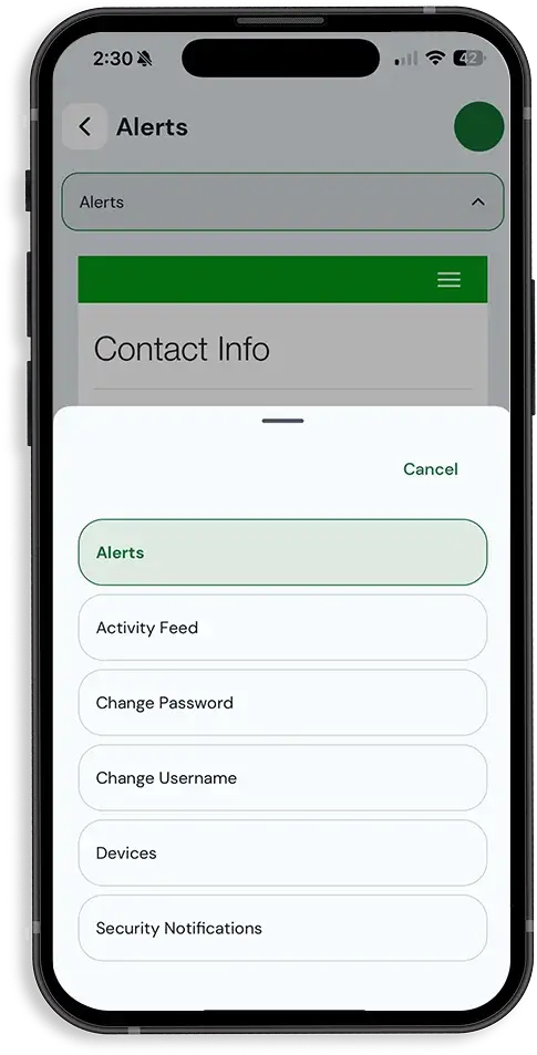 Alerts & Reminders